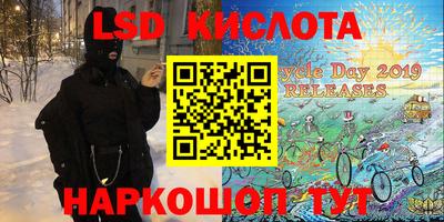 стафф Новодвинск