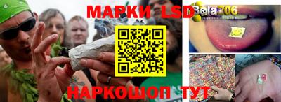стафф Новодвинск