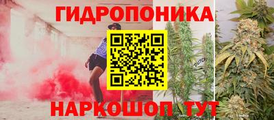 стафф Новодвинск
