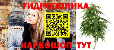 соль курить ск Новокубанск