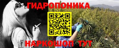 стафф Новодвинск