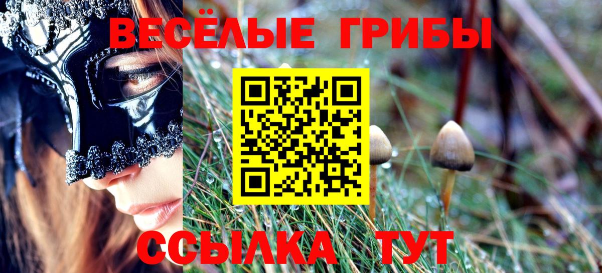 Псилоцибиновые грибы MAGIC MUSHROOMS Соль-Илецк