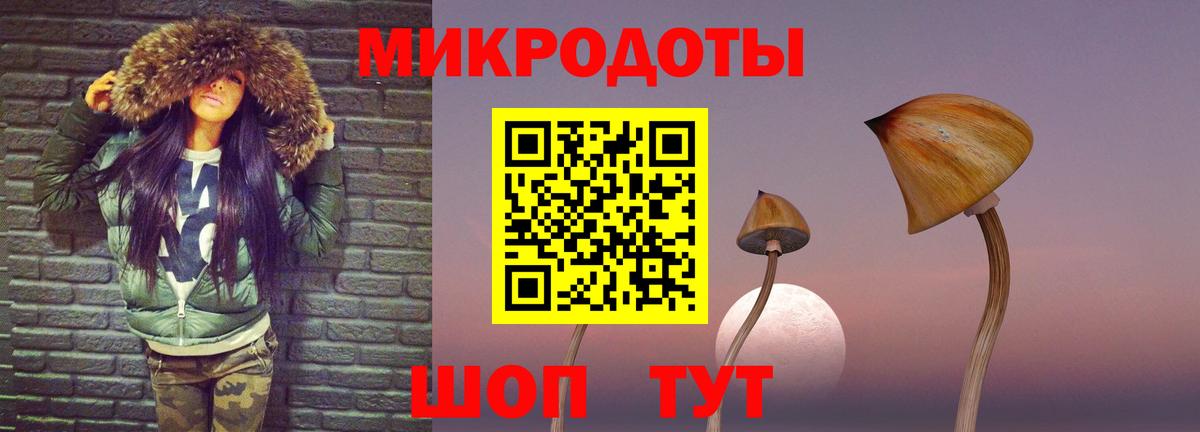 Соль-Илецк  Галлюциногенные грибы мухоморы  дарнет шоп  Вход с VPN 
